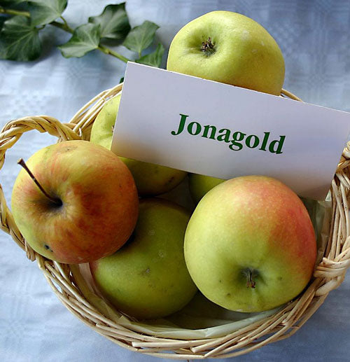 Jonagold