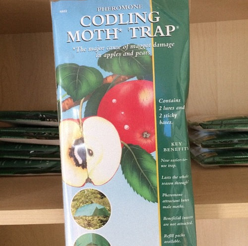 Codling Moth Trap